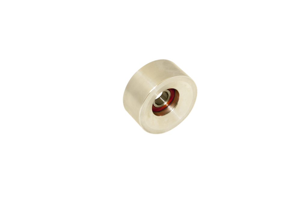 [1013] Ford 4.6L Mod Motor 8-Rib Idler Pulley